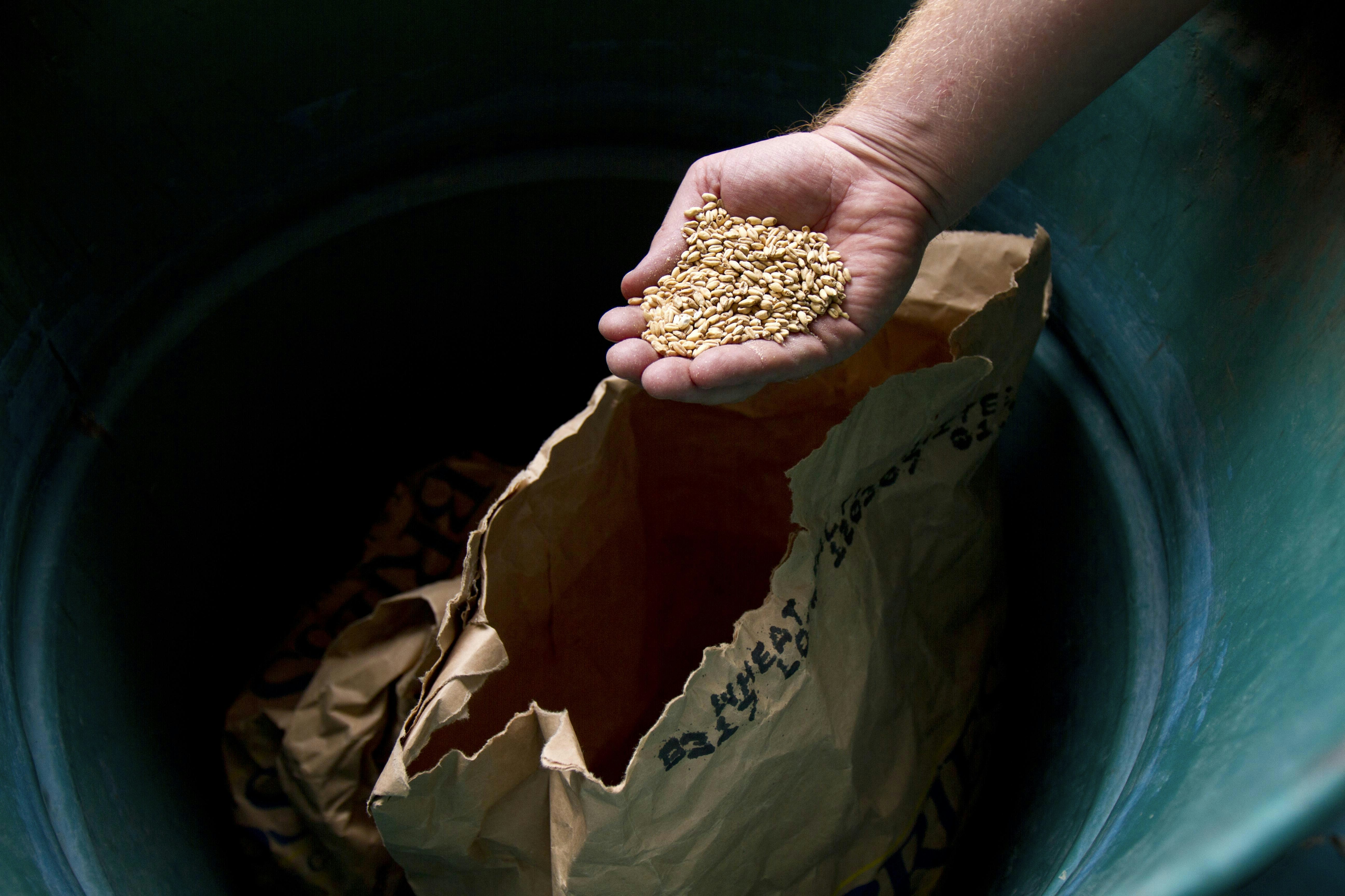 Organic grain storage sacks
