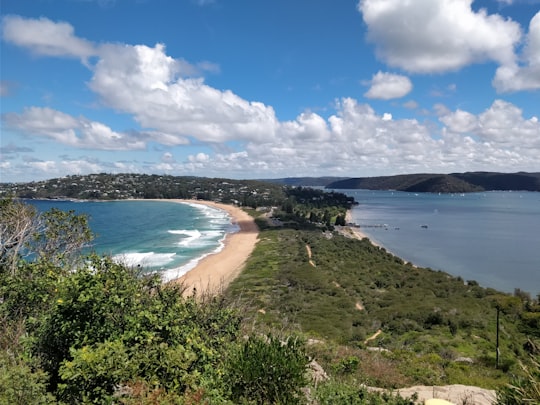 green trees near body of water under blue sky and white clouds during daytime in Barrenjoey Lighthouse Australia