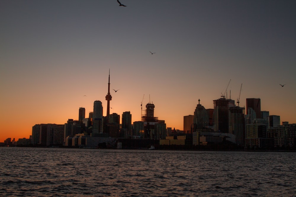 silhouette of city buildings during sunset