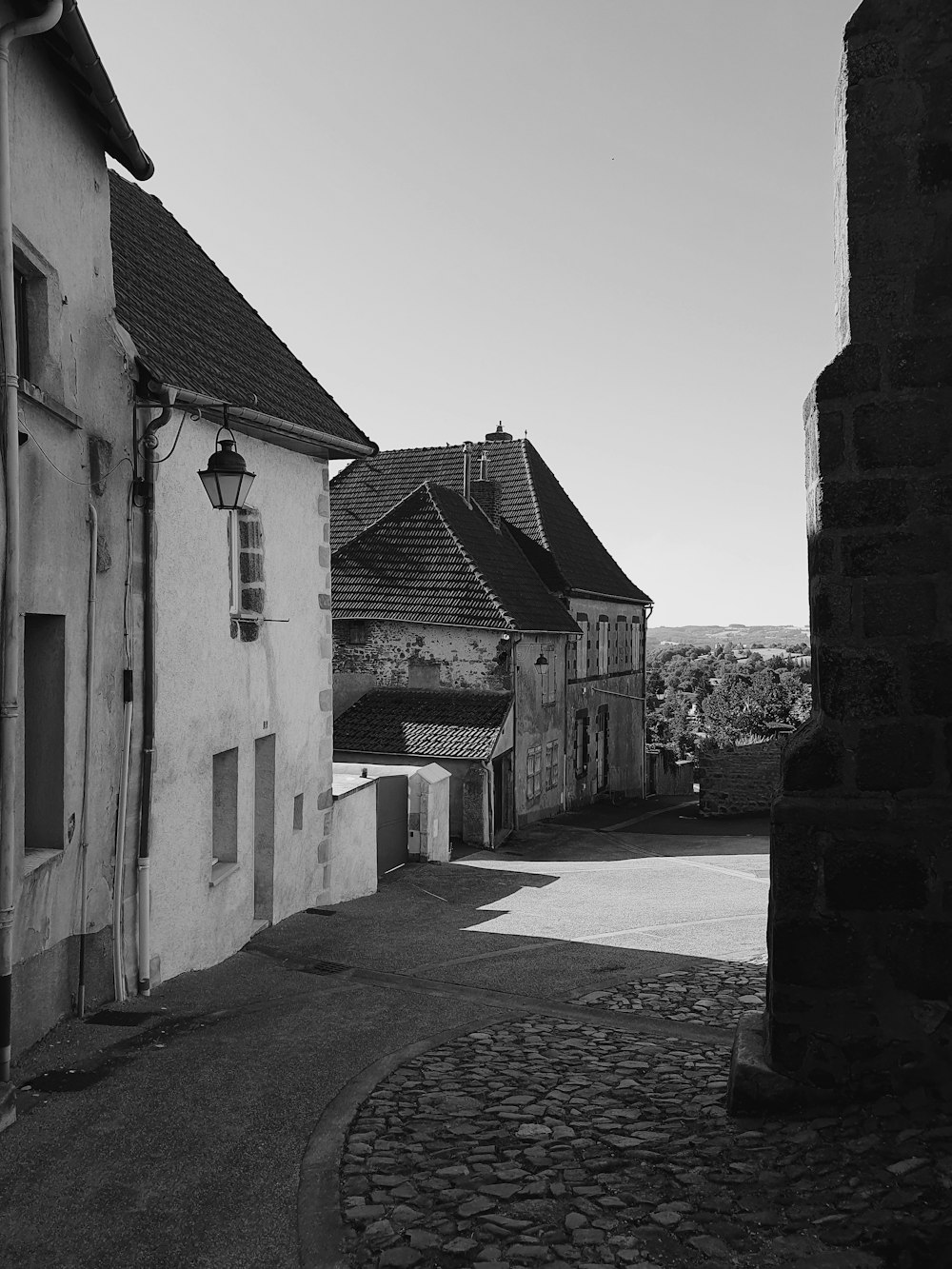 grayscale photo of concrete houses