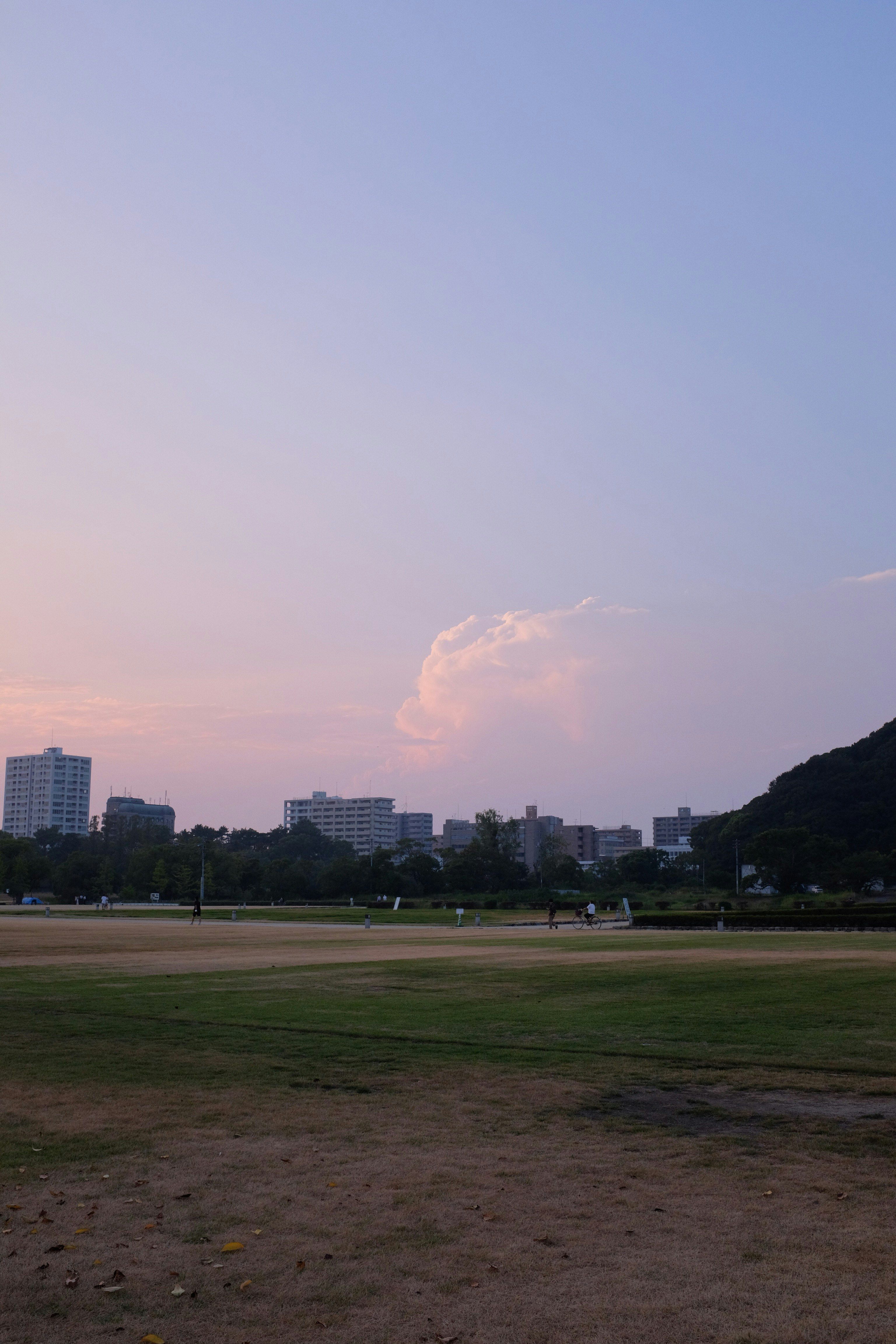 green grass field near city buildings under blue sky during daytime