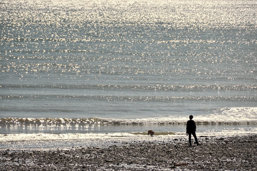 Homme en veste noire marchant sur la plage pendant la journée