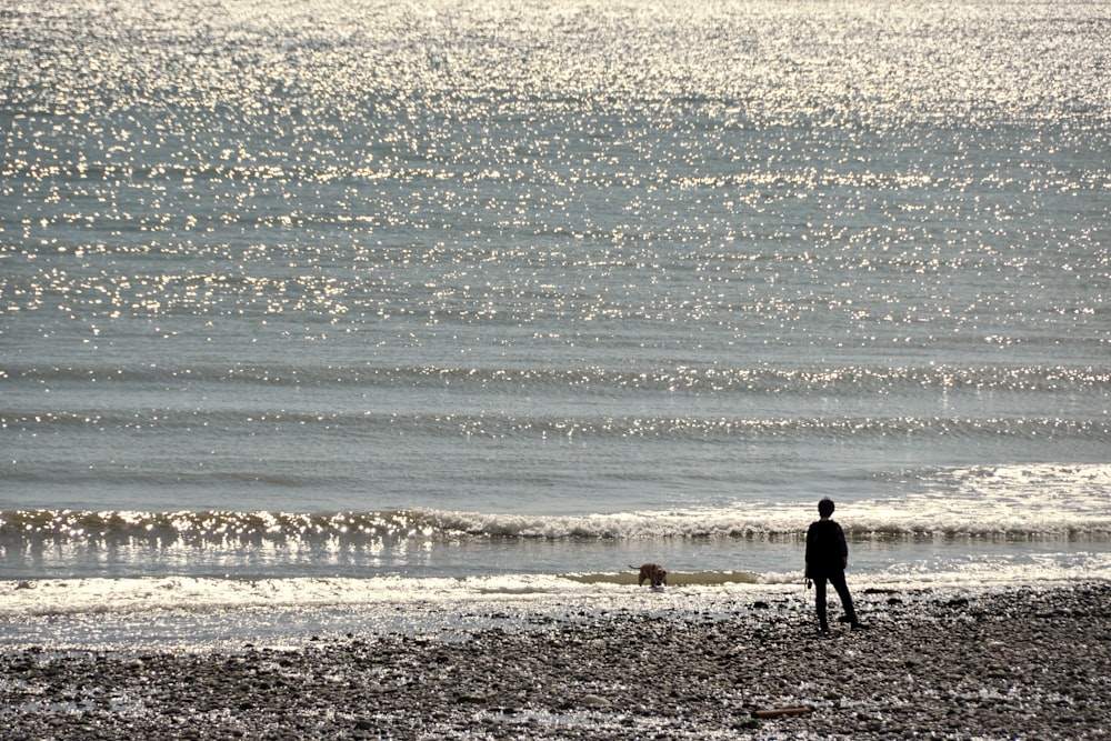 Hombre con chaqueta negra caminando en la playa durante el día