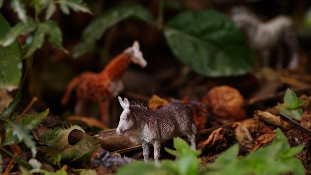 white and brown animal on brown dried leaves