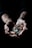 A pair of elderly hands holding a collection of mixed coins, with the hands and coins sharply lit against a dark background. The image highlights the texture and wrinkles of the skin, emphasizing age and experience.