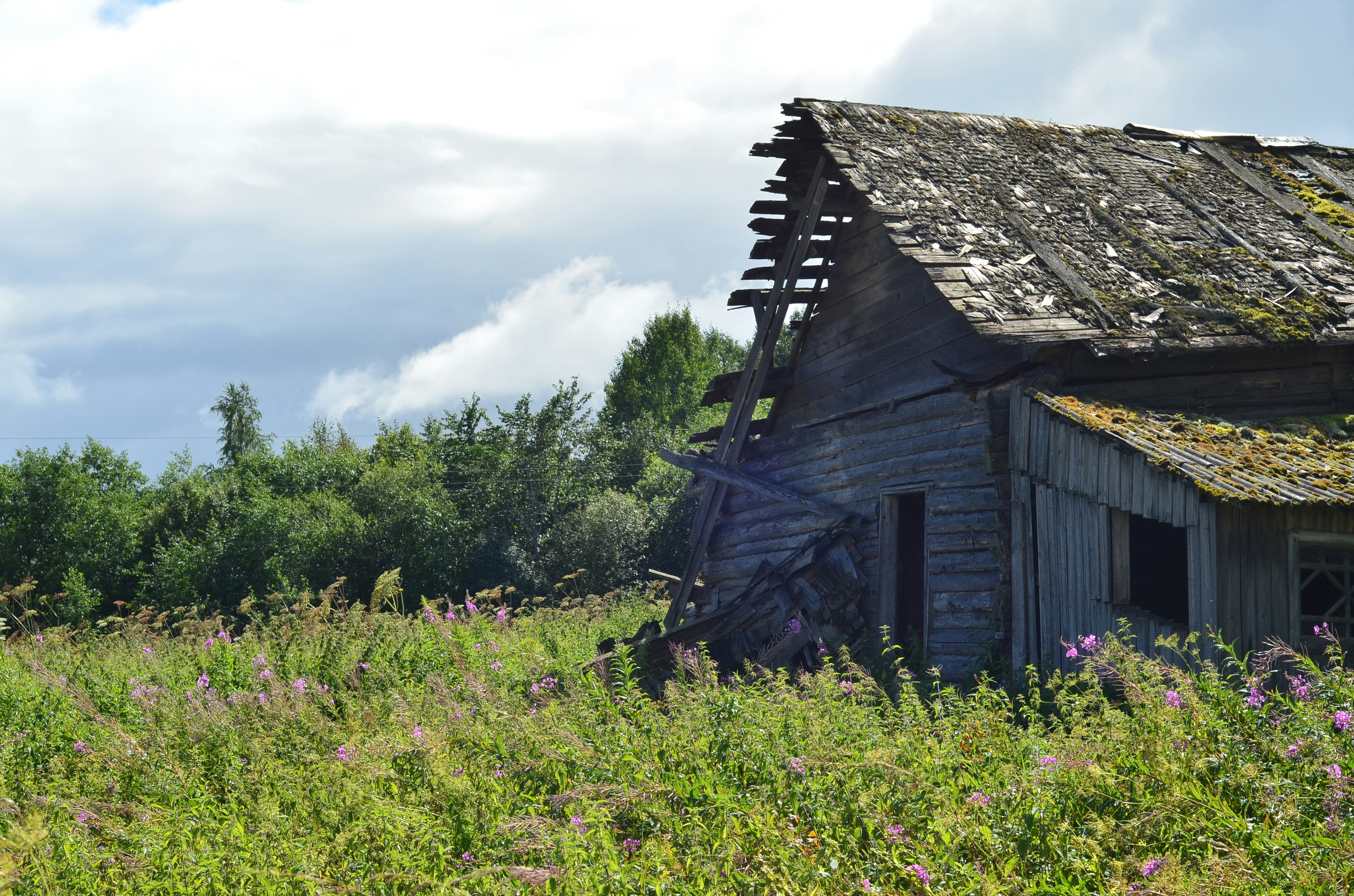 Photo by viridigreen