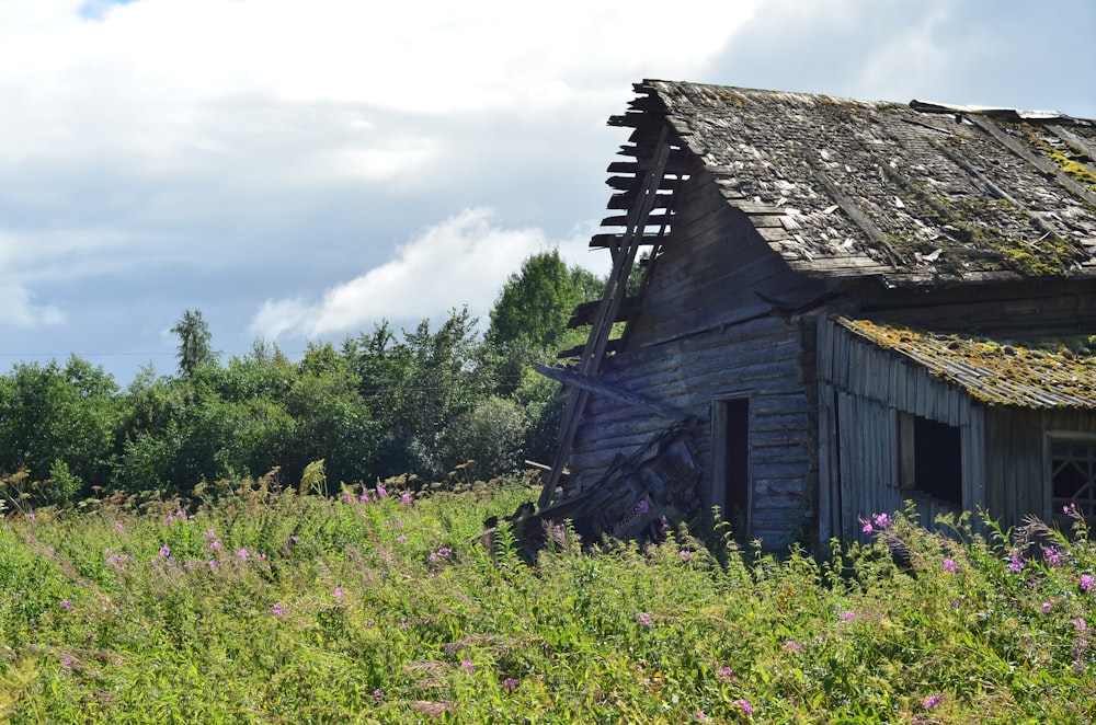 brown wooden house surrounded by green trees under white clouds during daytime