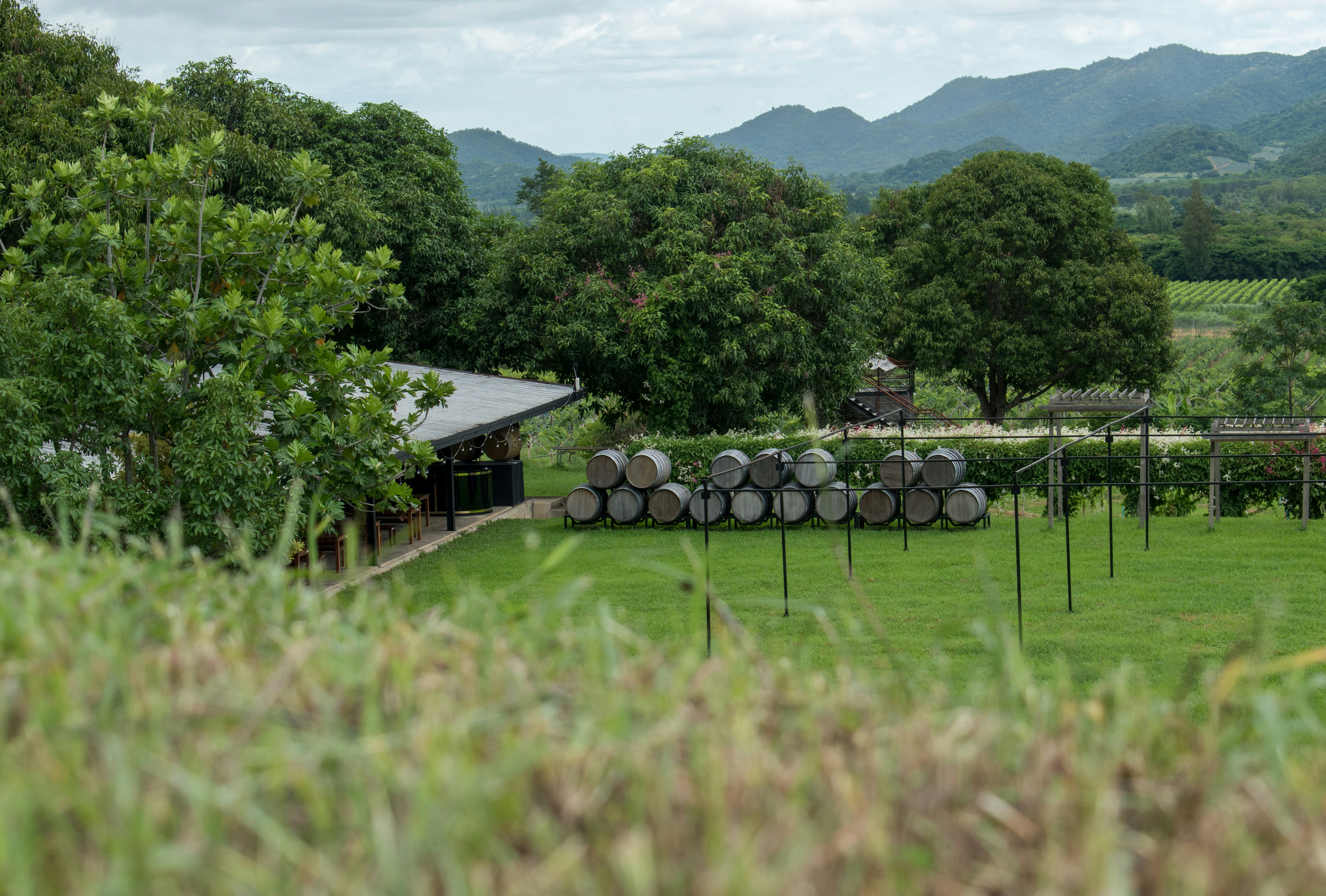 Upcycled Plastic Rain Barrels