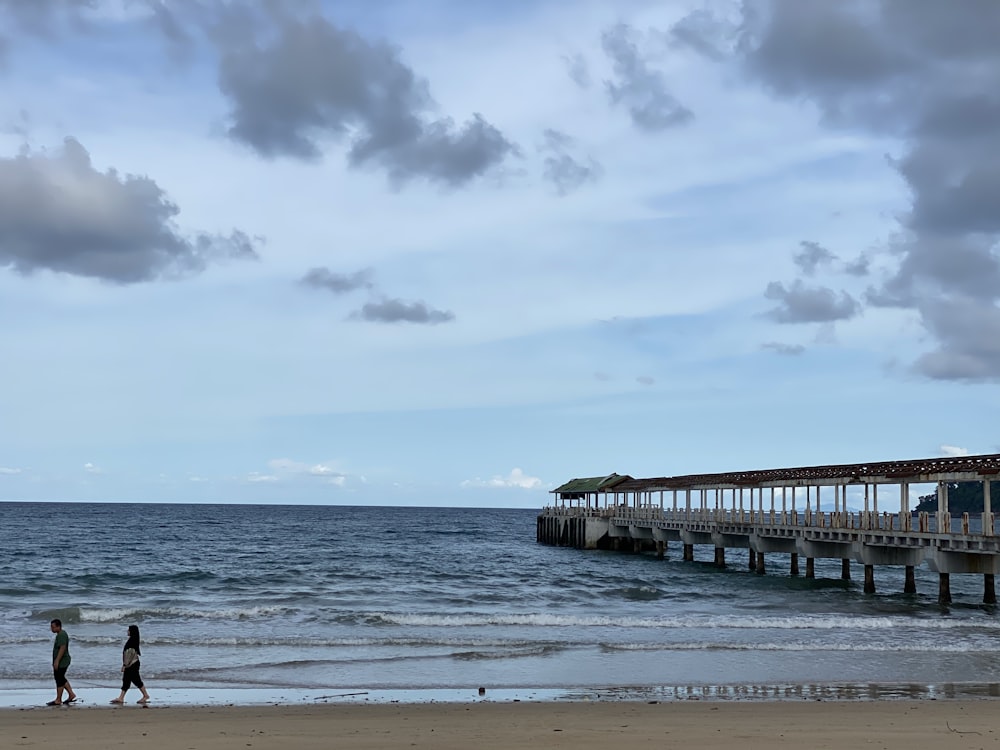 people walking on beach during daytime