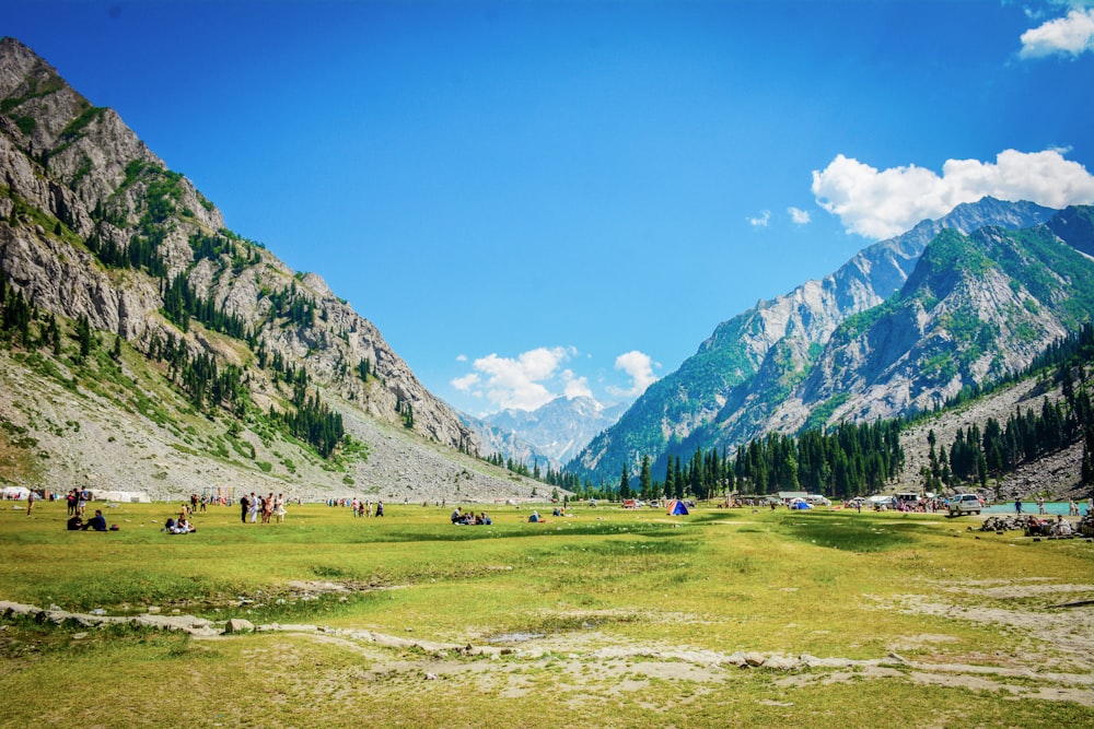 green grass field near green trees and mountain under blue sky during daytime