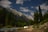 A camping scene set in a mountainous region with tall pine trees under a starry night sky. A white car is parked beside a pitched tent near a flowing stream. The mountains are illuminated, possibly by moonlight or early evening light, adding depth to the landscape.
