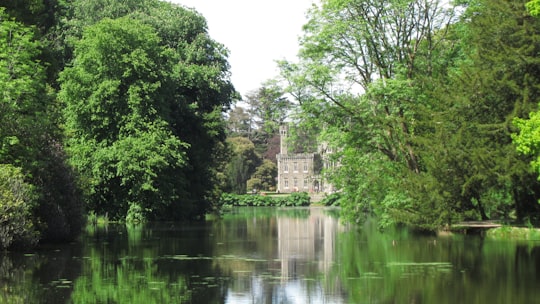 Johnstown Castle things to do in Enniscorthy