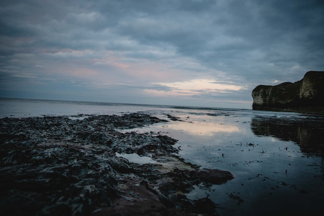 rocky shore under cloudy sky during daytime