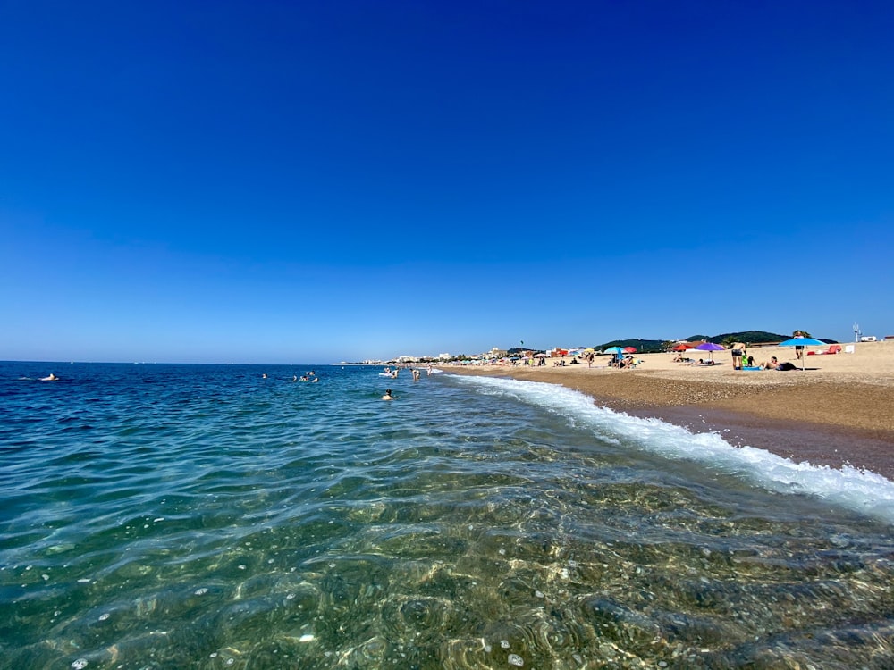 people on beach during daytime