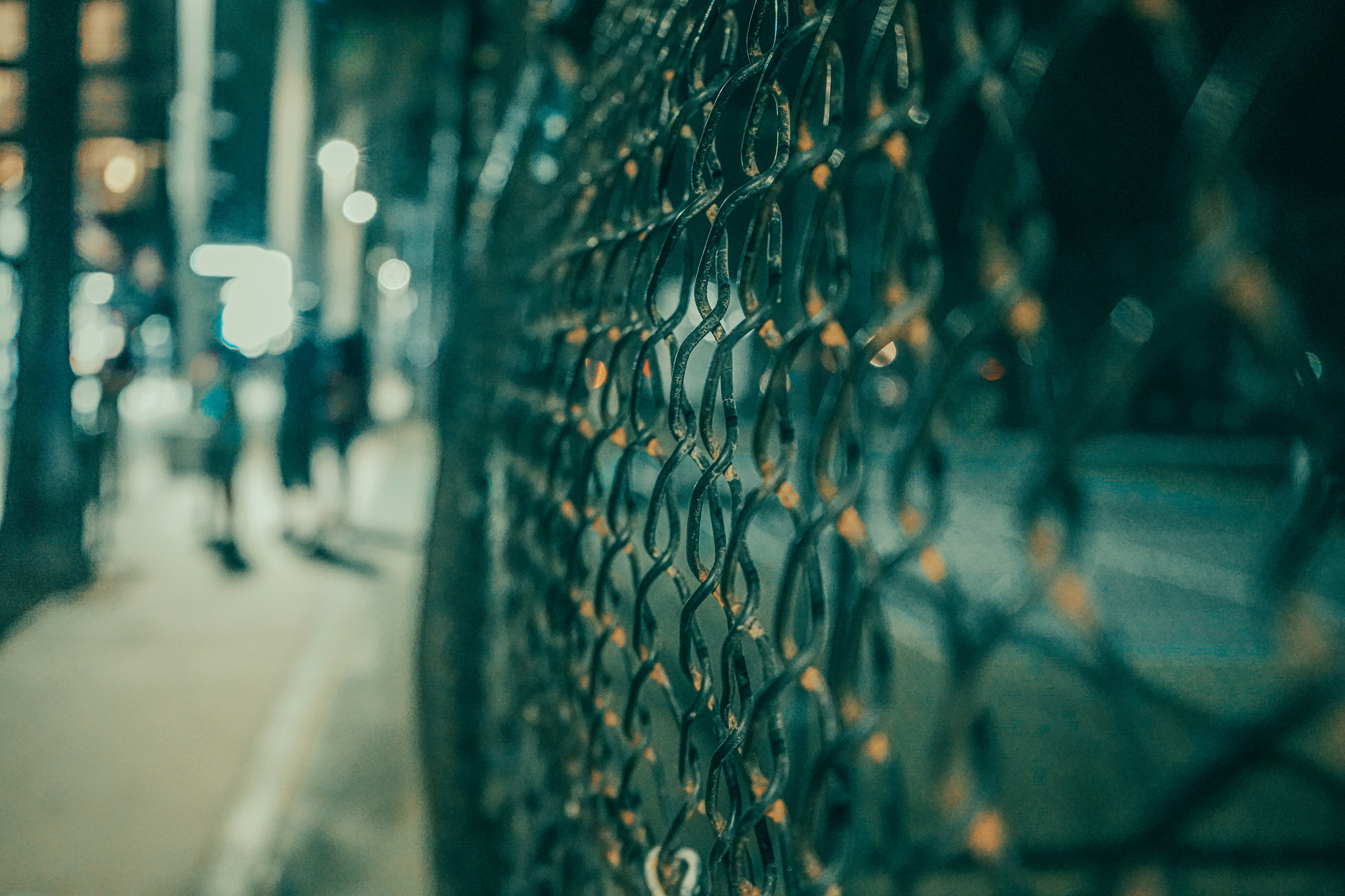 Photo by alpallenaltiner