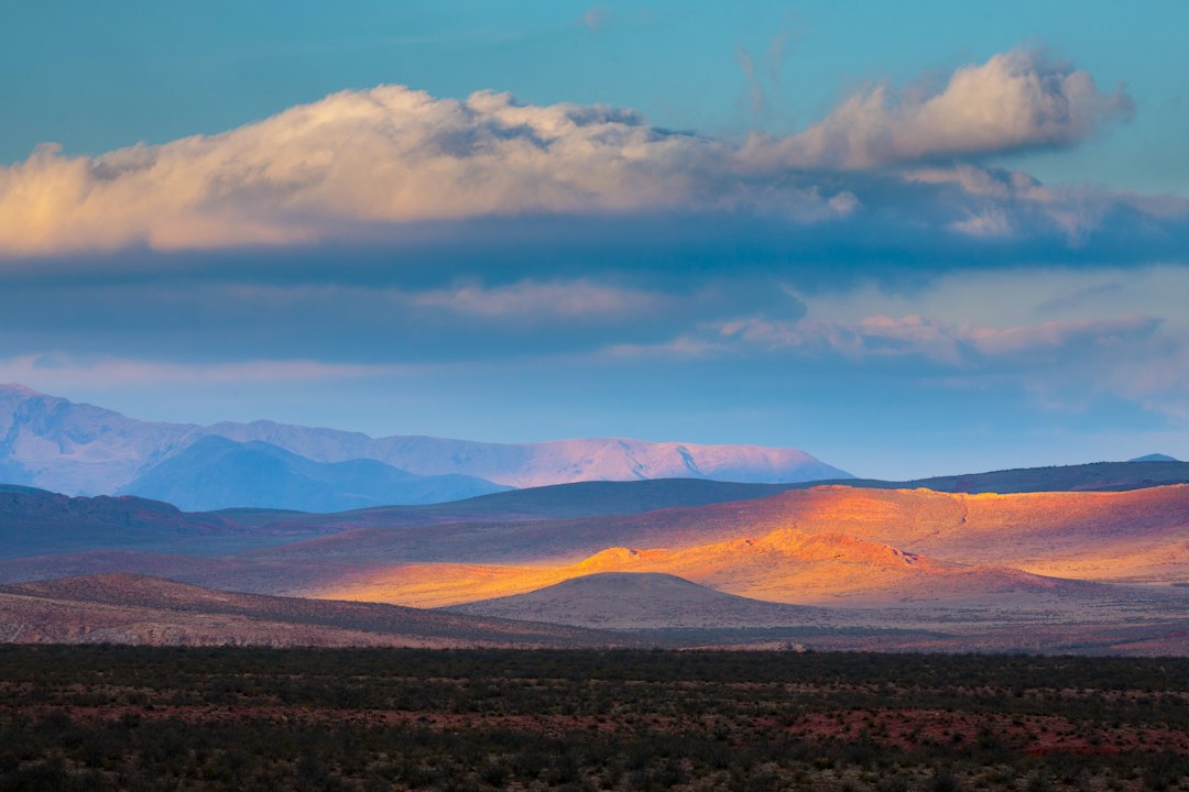 Journey Through Nature: 6 Breathtaking Series to Watch After Planet… — Journey Through Nature, photo 16