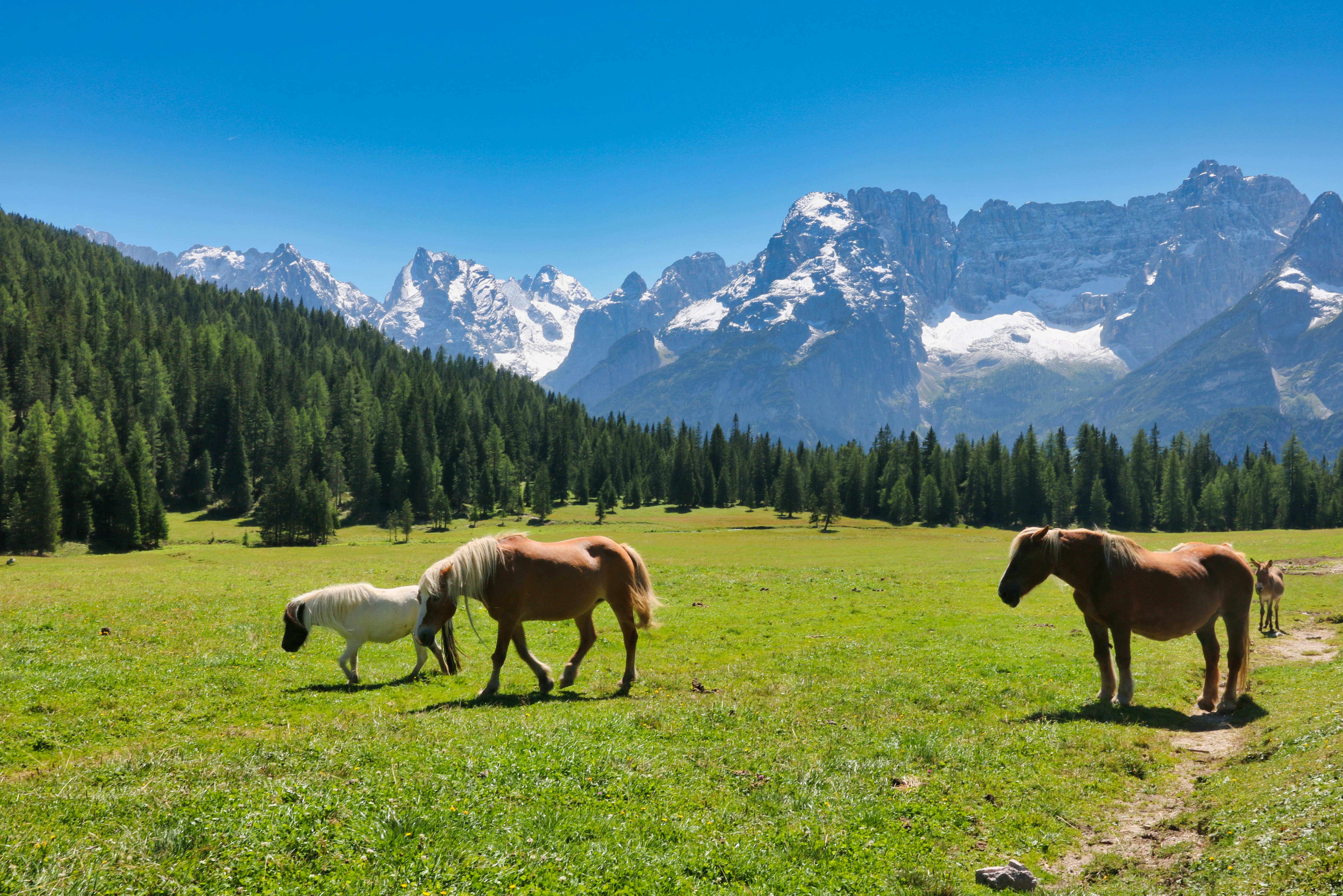 Photo by alessandro33