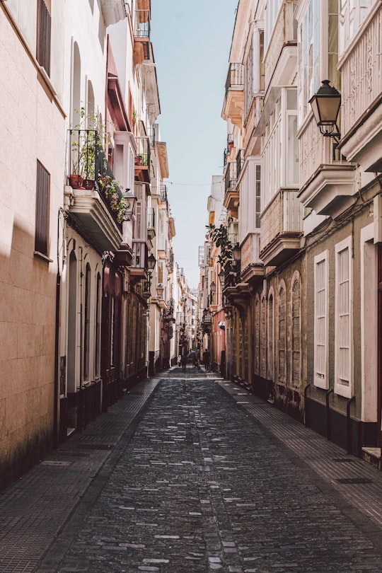 empty street between brown concrete buildings during daytime in Cádiz Spain