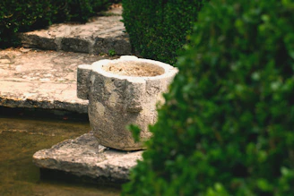 A sleek cold plunge tub surrounded by smooth stones and lush greenery.