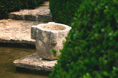 A sleek cold plunge tub surrounded by smooth stones and lush greenery.