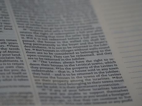 Close-up of a webpage grid showing perfectly aligned text and images.