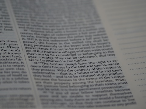 An image of a well-structured essay document.