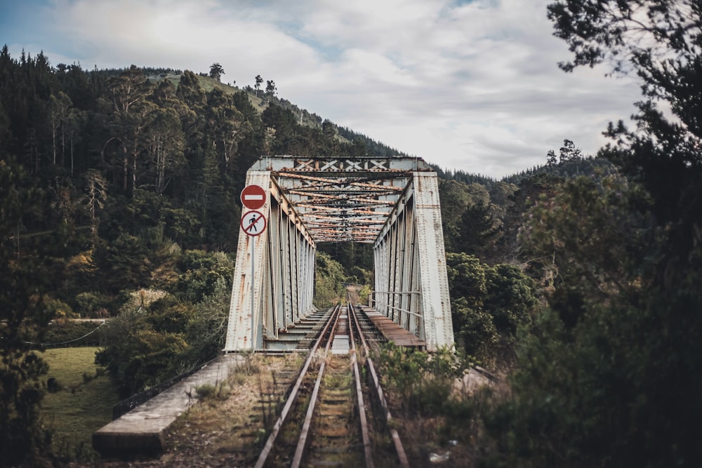 train on rail tracks near trees during daytime