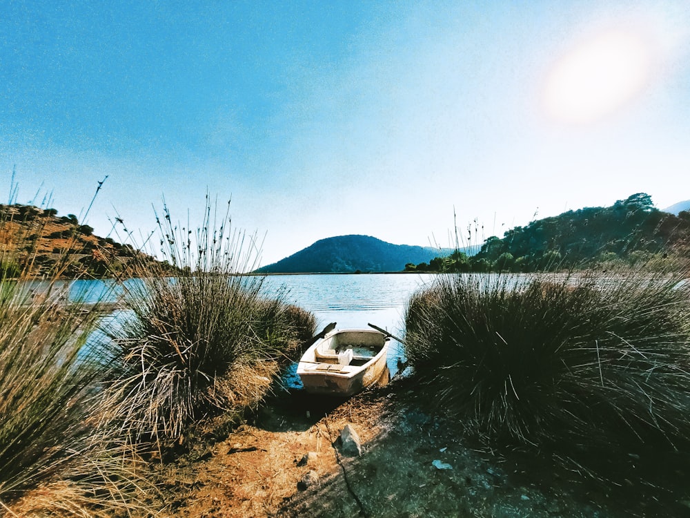 white and brown boat on body of water during daytime