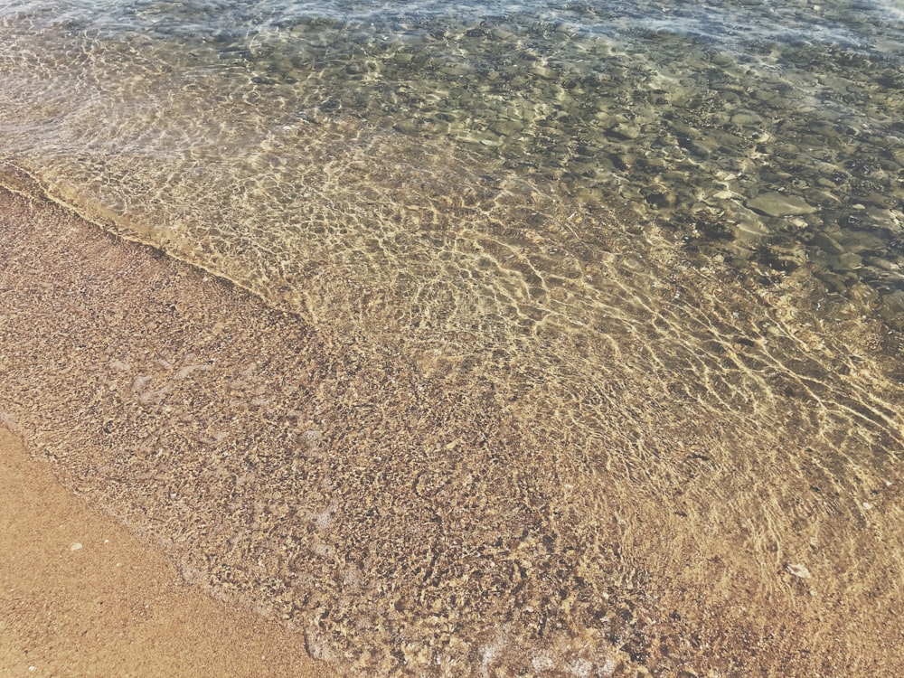 brown sand near body of water during daytime