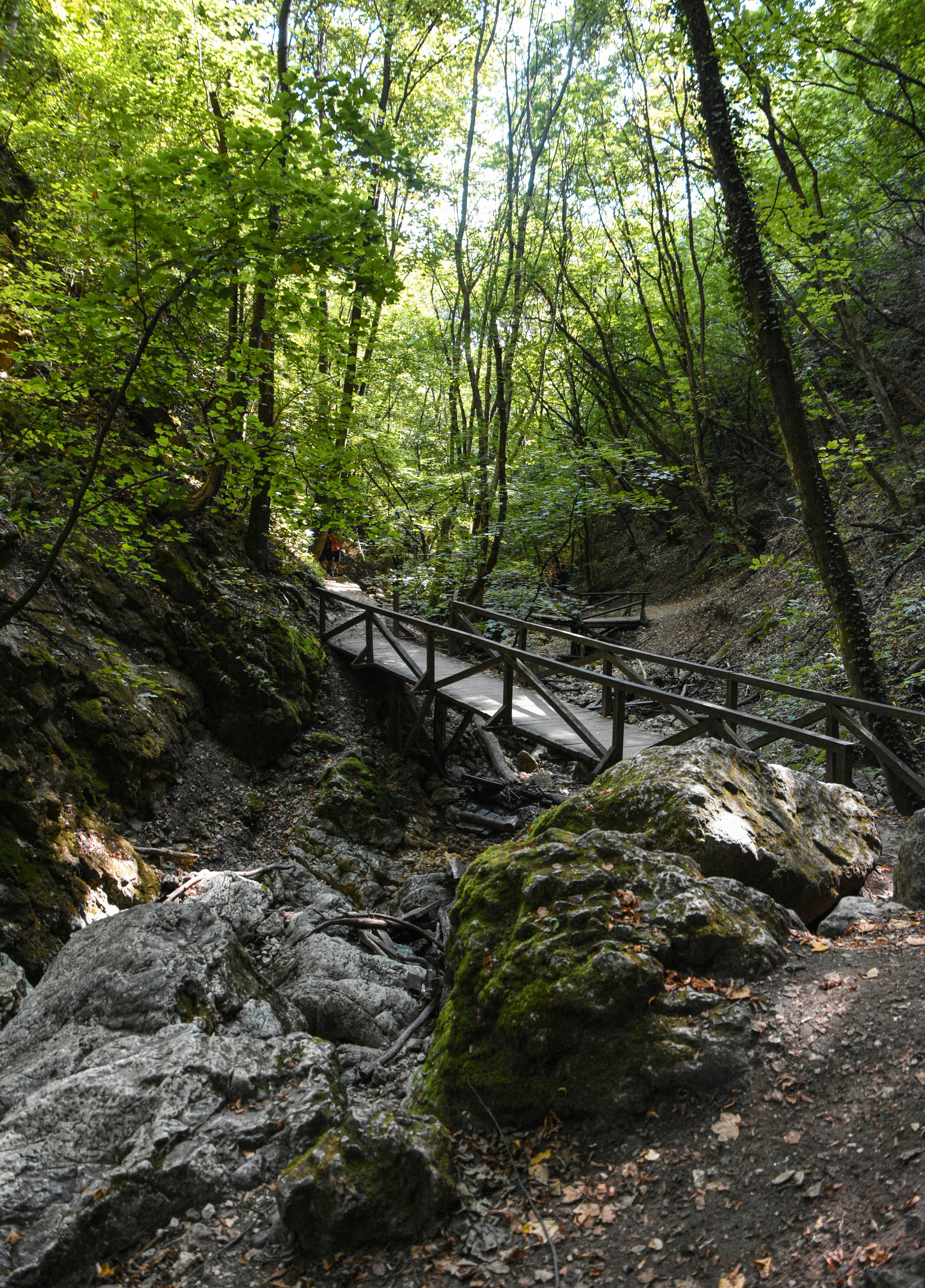 Photo by keszthelyit