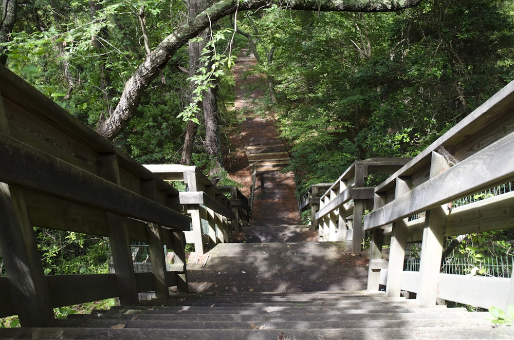 white wooden bridge in the middle of the forest