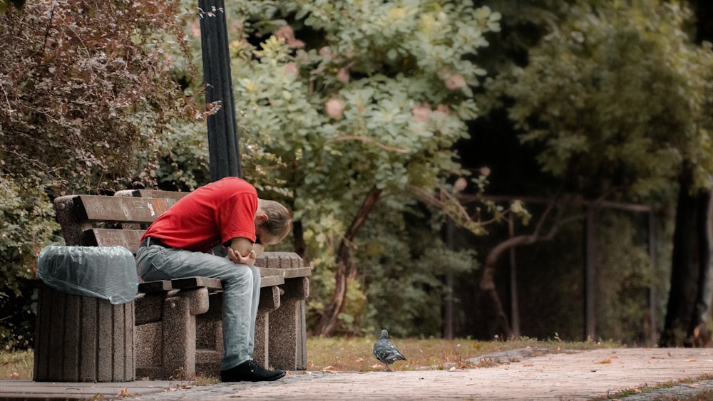 man in red shirt sitting on bench