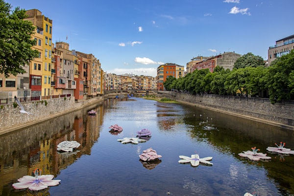 Tours in Girona