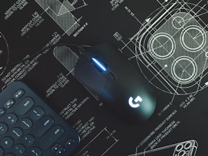 black and blue cordless computer mouse