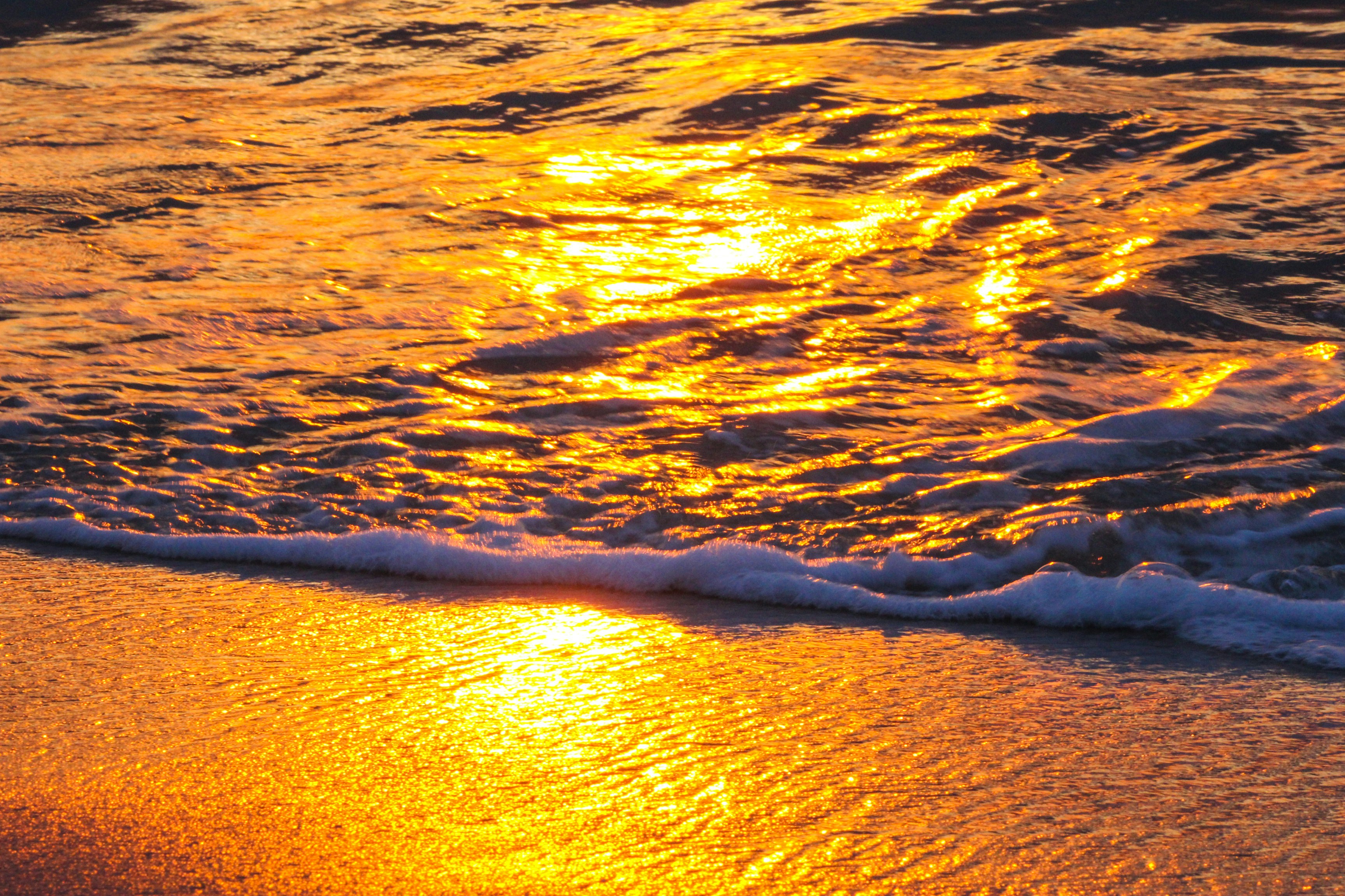 Photo by jjensen_photogrpahy