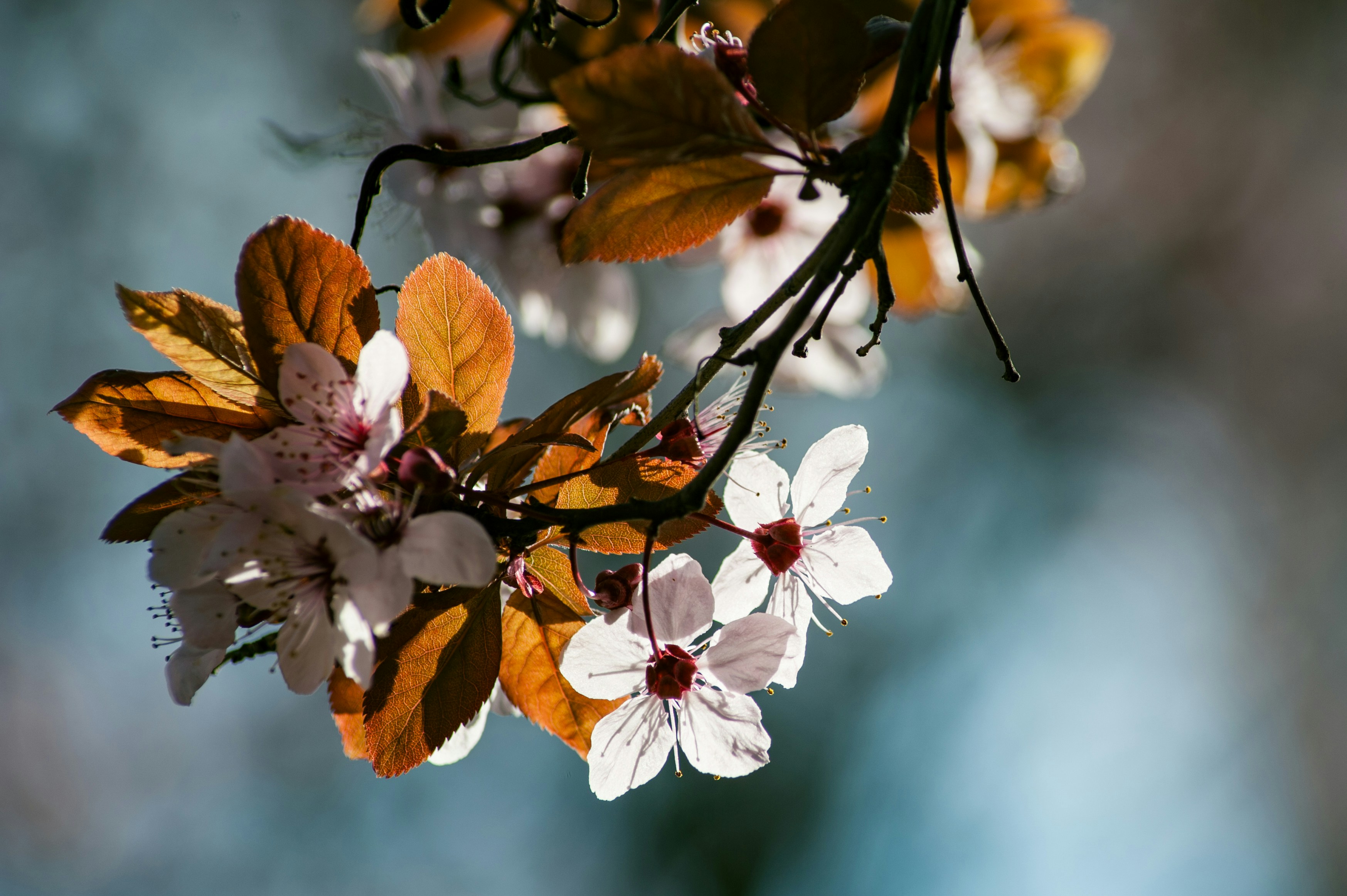 Photo by photofixation