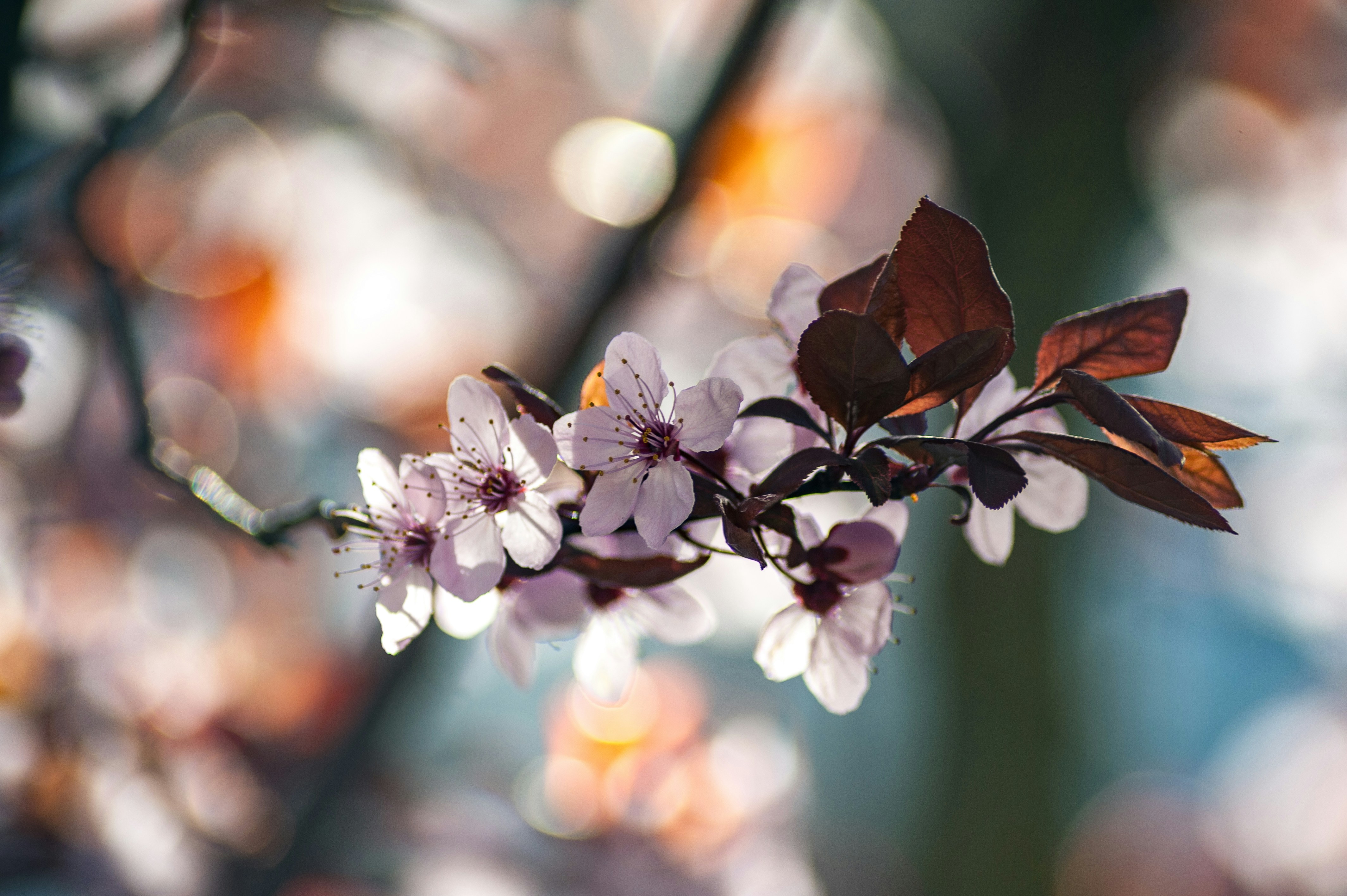 Photo by photofixation