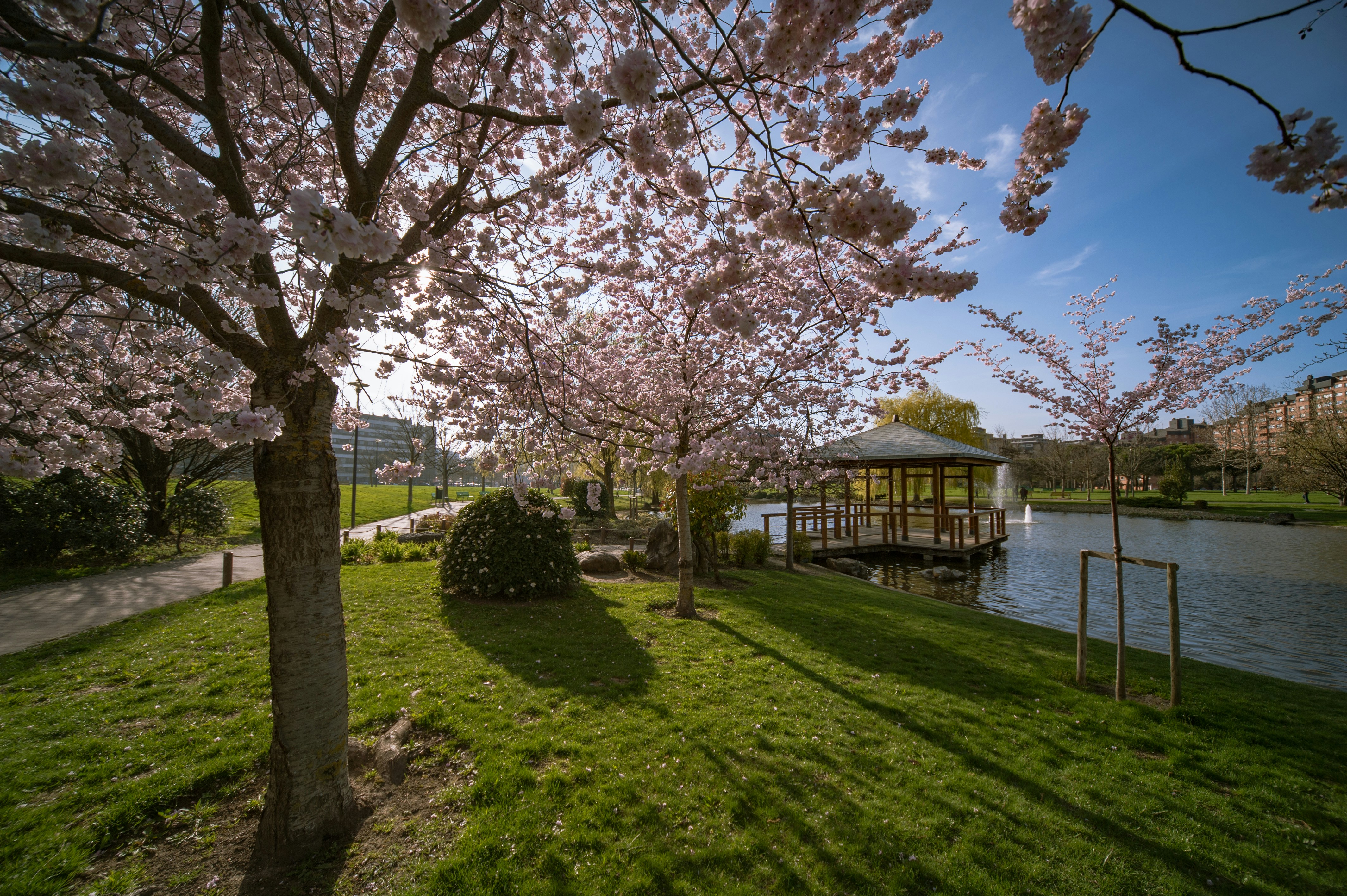 Photo by photofixation