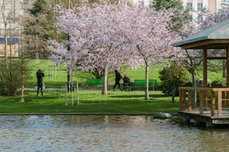 A peaceful garden scene with a wheelchair parked beside blooming flowers.