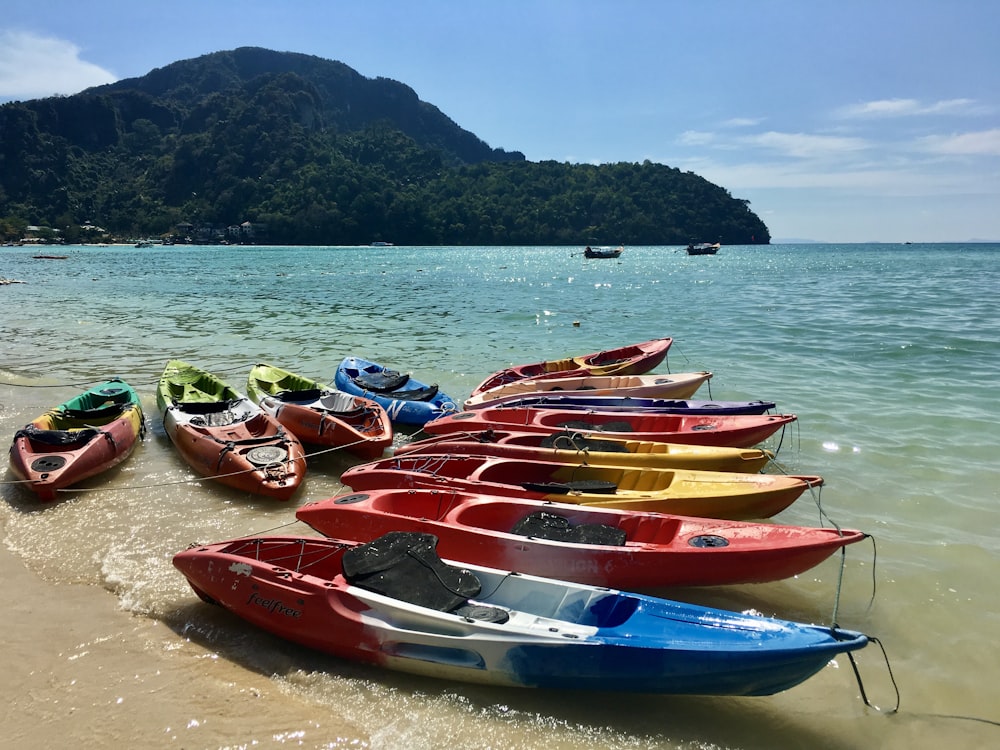 red and blue kayaks on shore during daytime