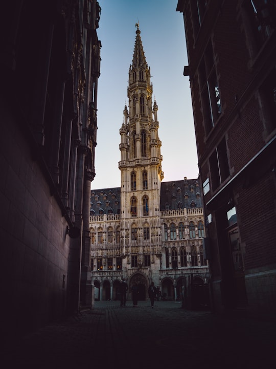 people walking on sidewalk near brown concrete building during daytime in Grand Place, Brussels Town Hall Belgium