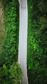 Aerial view of a newly paved road surrounded by greenery.