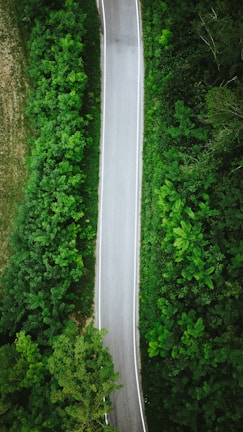 Aerial view of a newly paved road surrounded by greenery.