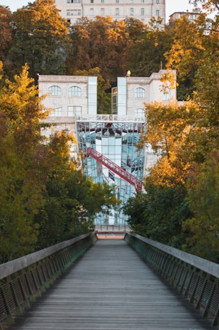 A long wooden pathway leads through lush green trees towards a modern glass building with a red structure at its entrance. The pathway is lined with railings, and the surrounding trees are beginning to show autumn colors. In the background, a larger stone building with multiple windows is partially visible amongst the trees.
