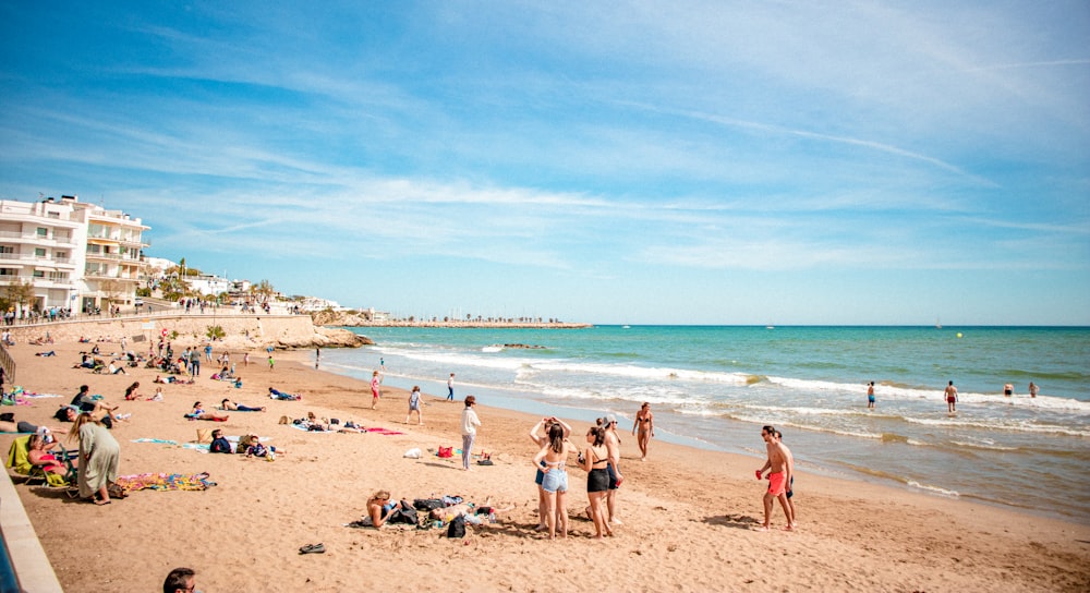 people on beach during daytime