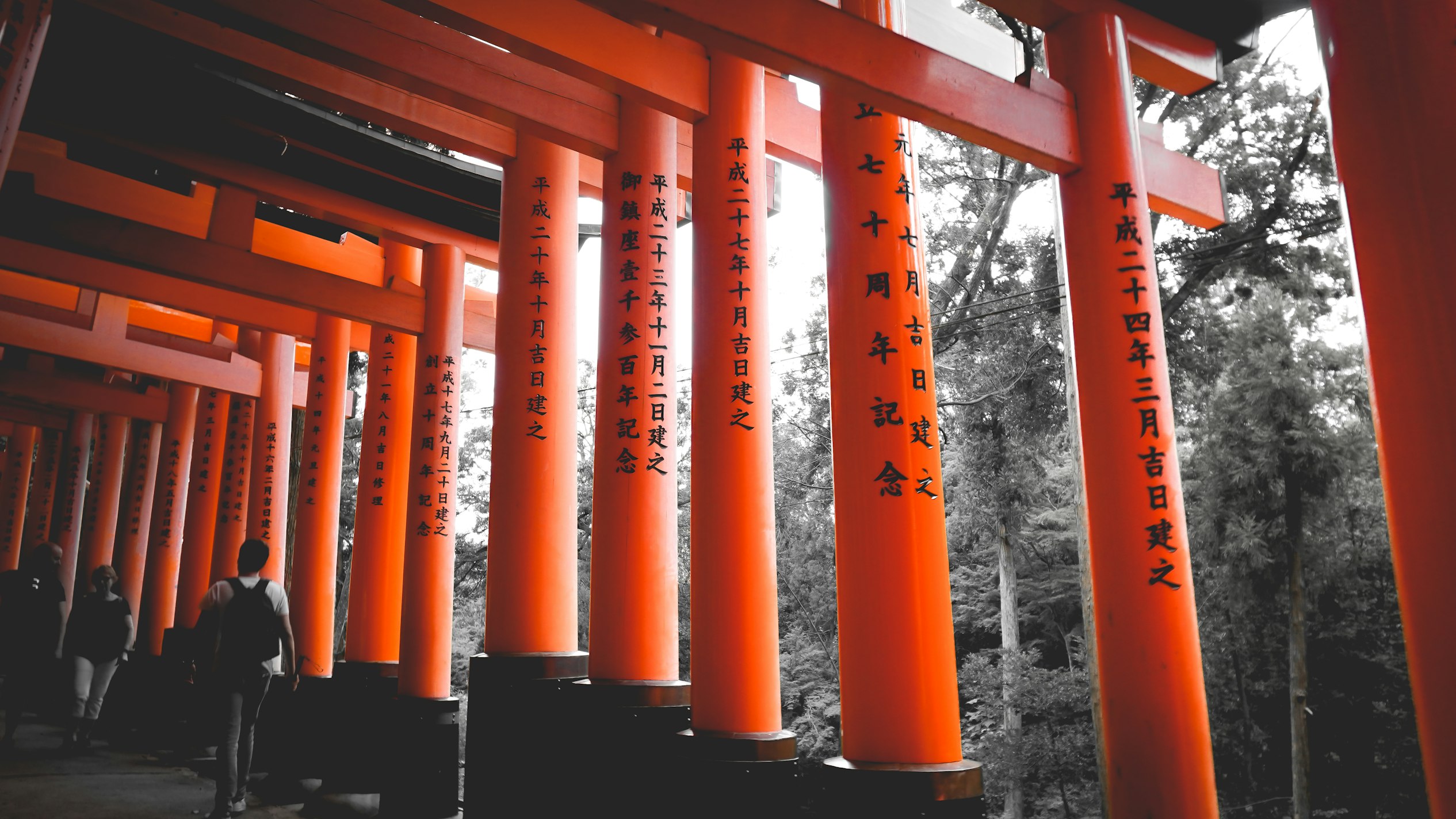 The Way of ['Zen', 'Silence', 'Nature', 'Precision', 'Harmony']
