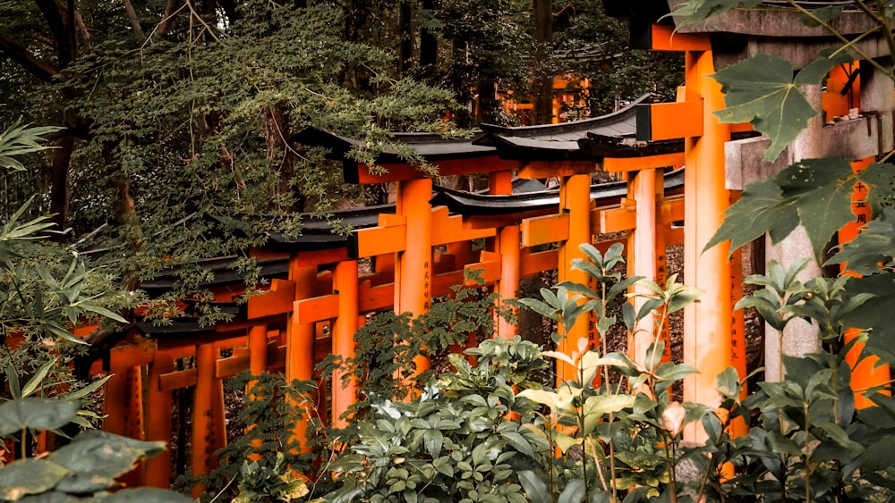 orange wooden building surrounded by green plants