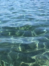 Clear blue water with gentle ripples reflecting light, creating a shimmering effect on the surface. The water is so transparent that the textures and color gradations underneath can be seen.
