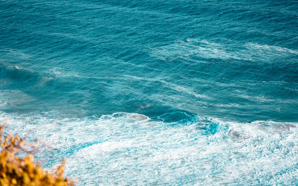 blue ocean waves during daytime