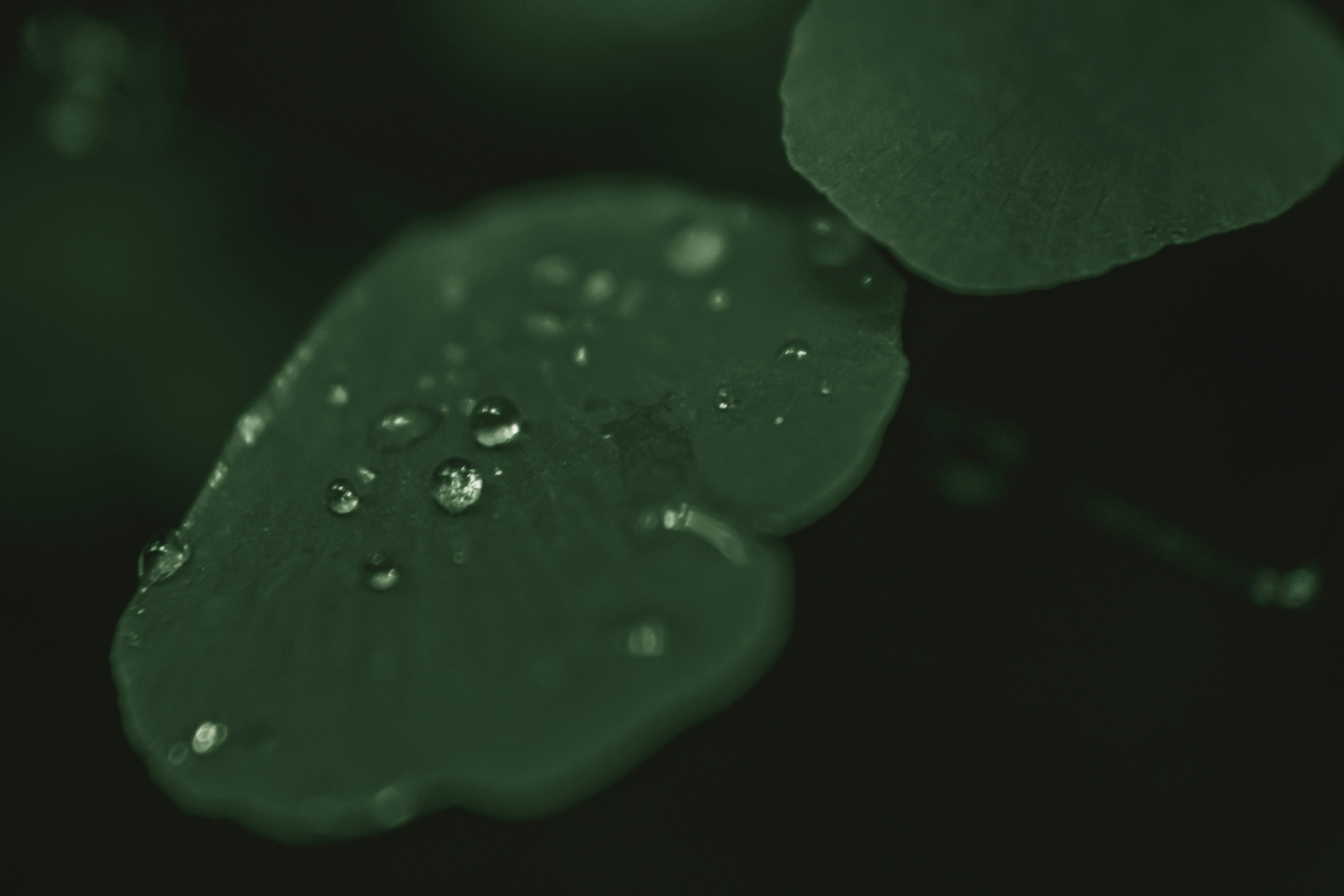 Photo by sarath__ks__